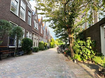 City street with beautiful buildings, bench and plants