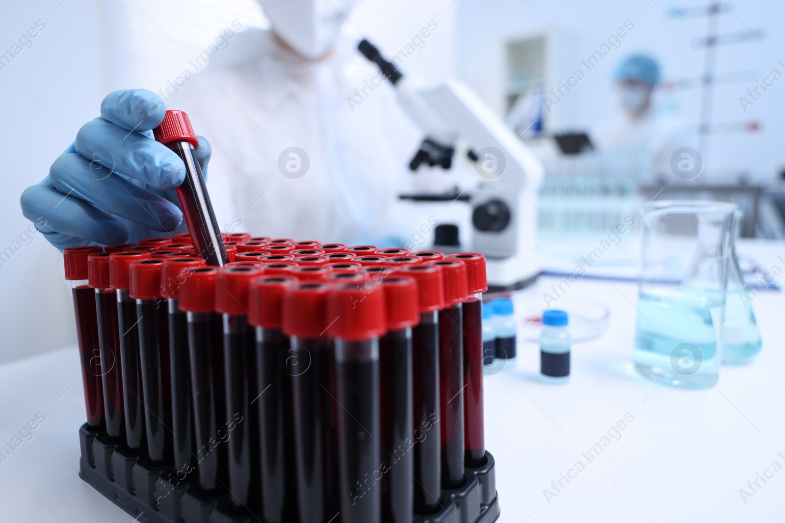 Photo of Scientist working with samples in test tubes in laboratory, closeup