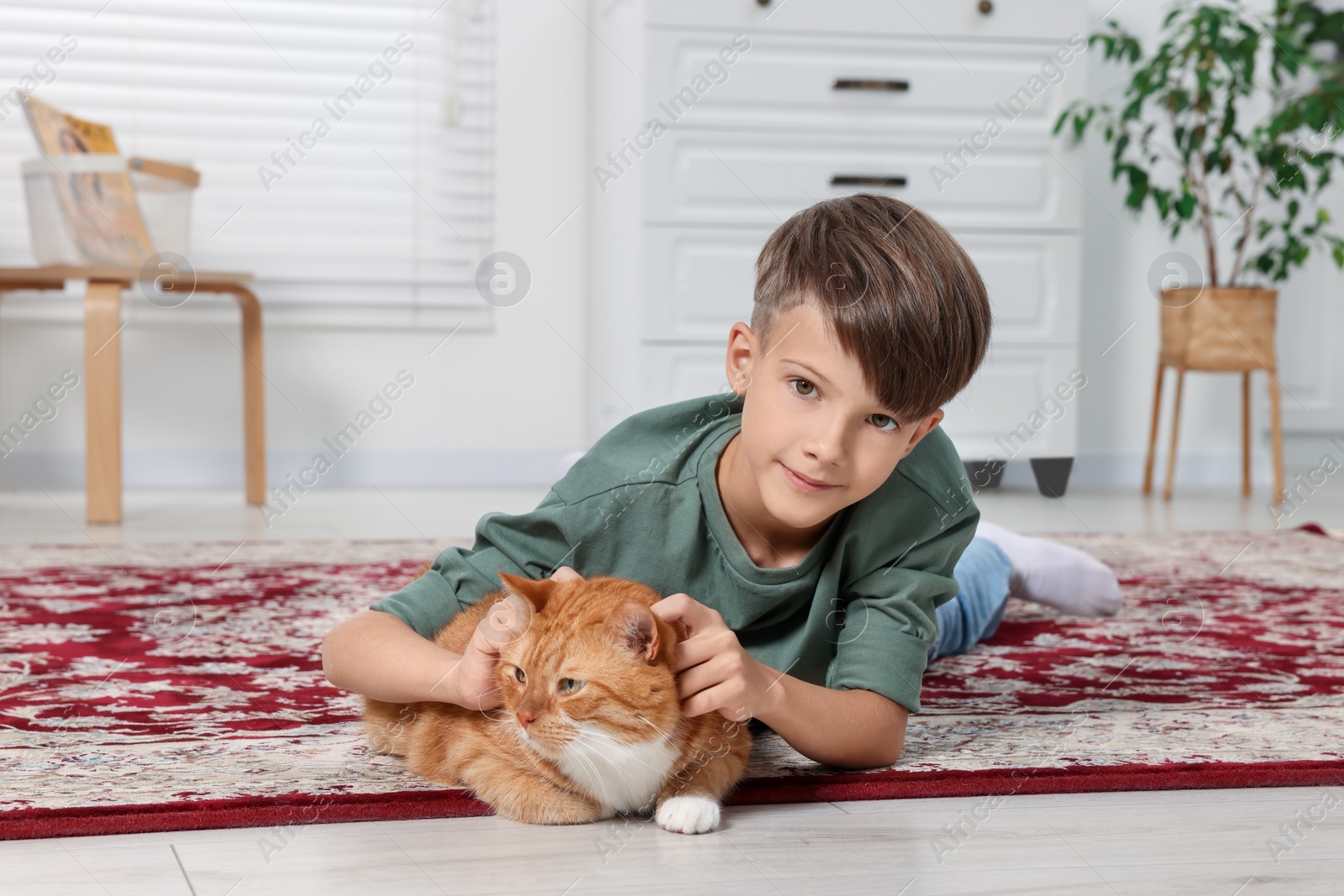 Photo of Little boy petting cute ginger cat on carpet at home