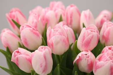 Beautiful bouquet of fresh pink tulips on blurred background, closeup