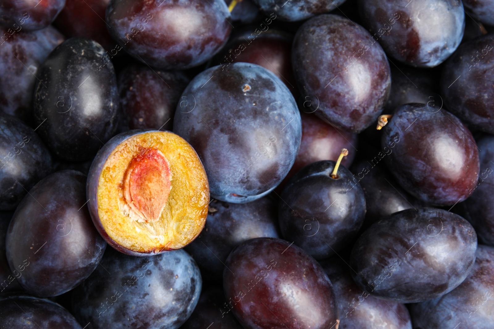 Photo of Many delicious ripe plums as background, closeup