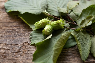 Photo of Green leaves of hazel tree on wooden table, closeup