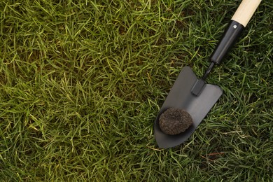 Photo of Shovel with fresh truffle on green grass, top view. Space for text