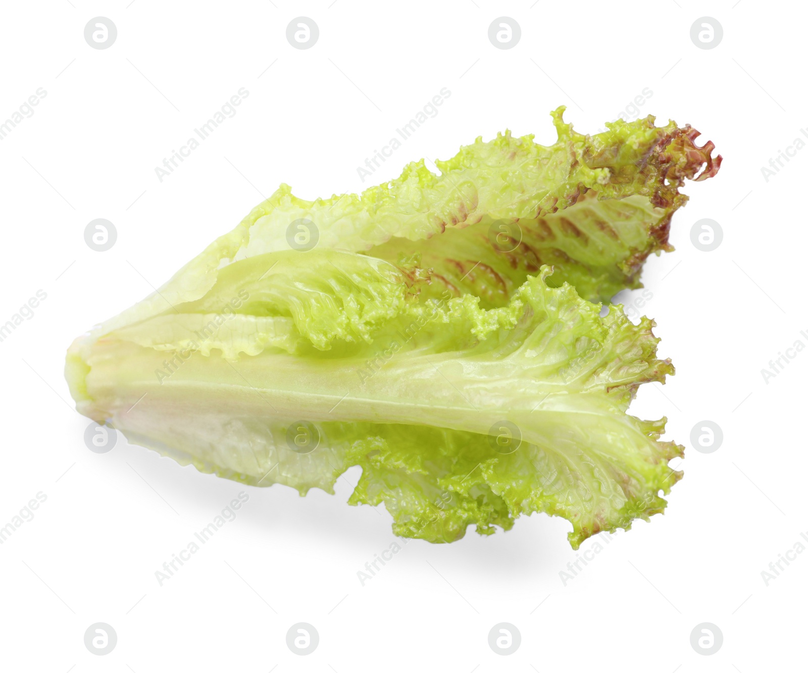 Photo of Leaves of fresh red coral lettuce isolated on white, top view