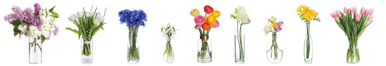 Image of Collage with many beautiful flowers in glass vases on white background