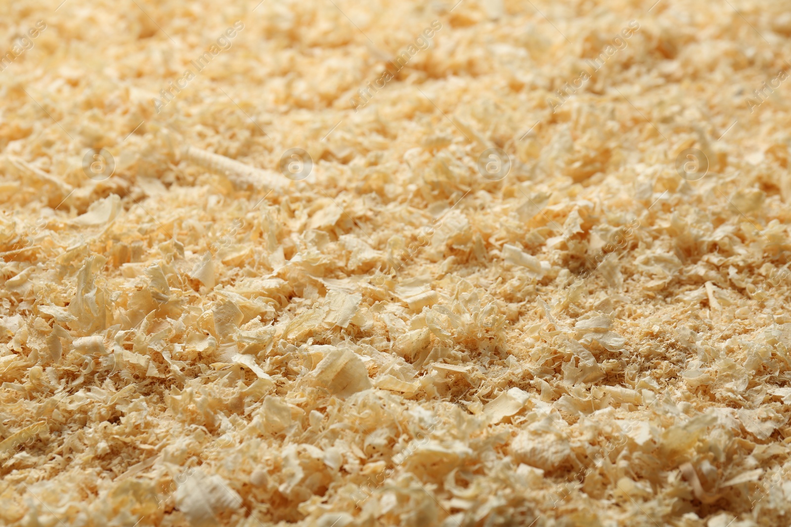 Photo of Dry natural sawdust as background, closeup view