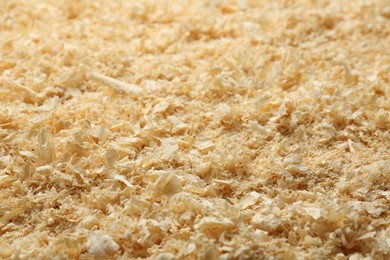 Dry natural sawdust as background, closeup view