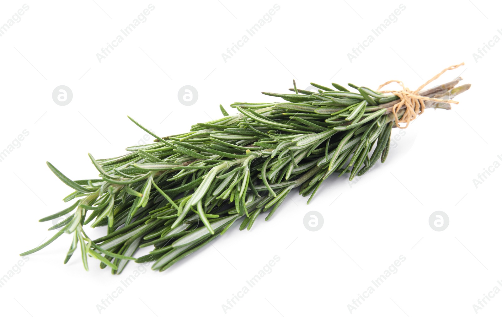 Photo of Bunch of fresh rosemary on white background