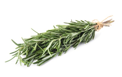 Bunch of fresh rosemary on white background