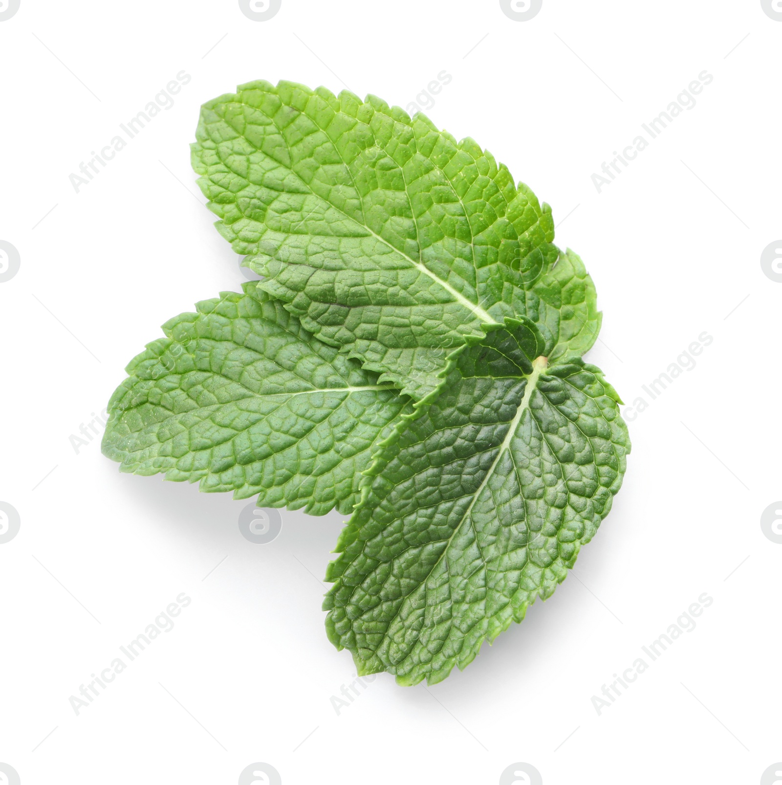 Photo of Fresh green mint leaves isolated on white, top view