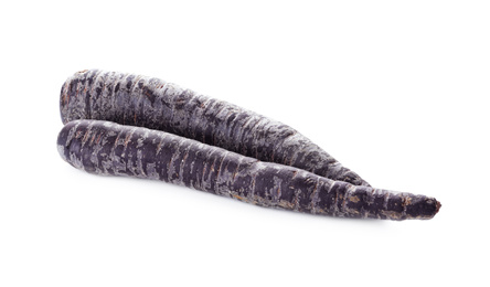 Fresh raw black carrots isolated on white