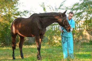 Photo of Veterinarian in uniform with beautiful brown horse outdoors