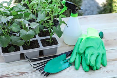 Photo of Seedlings growing in plastic containers with soil, gardening tools, rubber gloves and spray bottle on wooden table