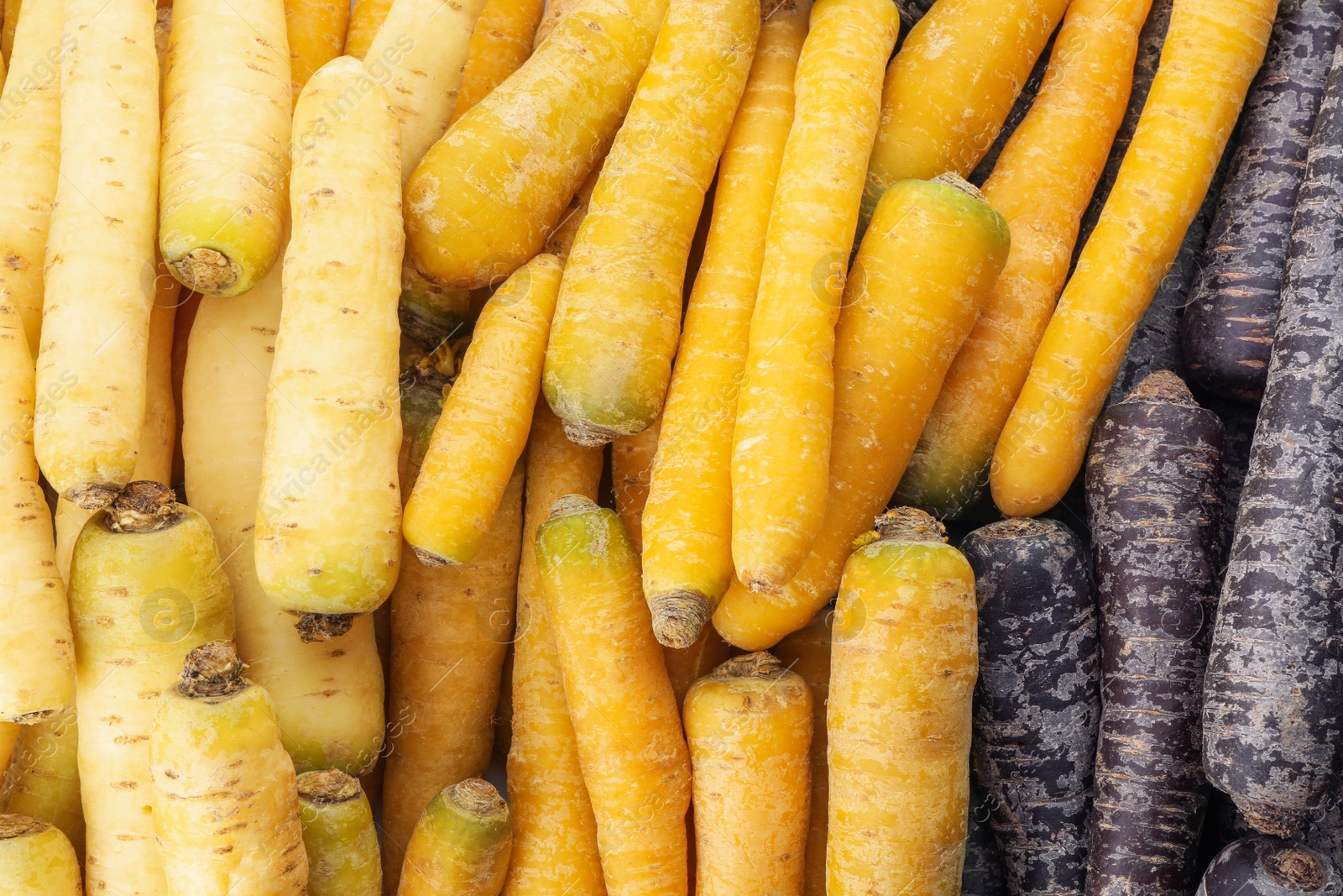 Photo of Pile of different carrots as background, top view