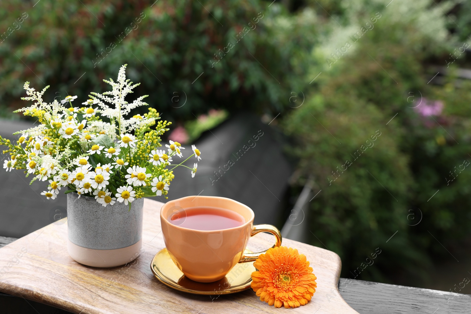 Photo of Cup of delicious chamomile tea and fresh flowers outdoors. Space for text