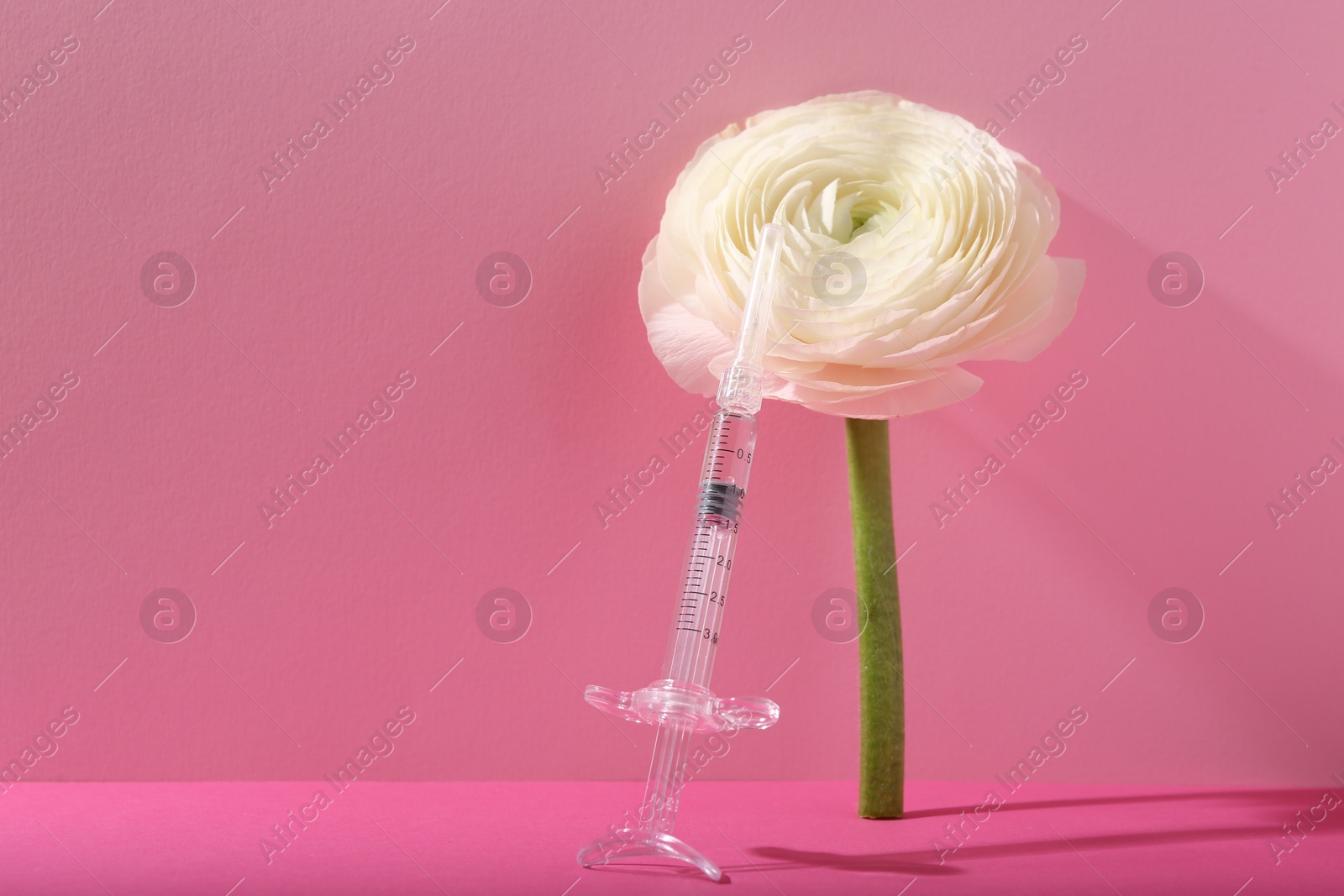 Photo of Cosmetology. Medical syringe and ranunculus flower on pink background, space for text