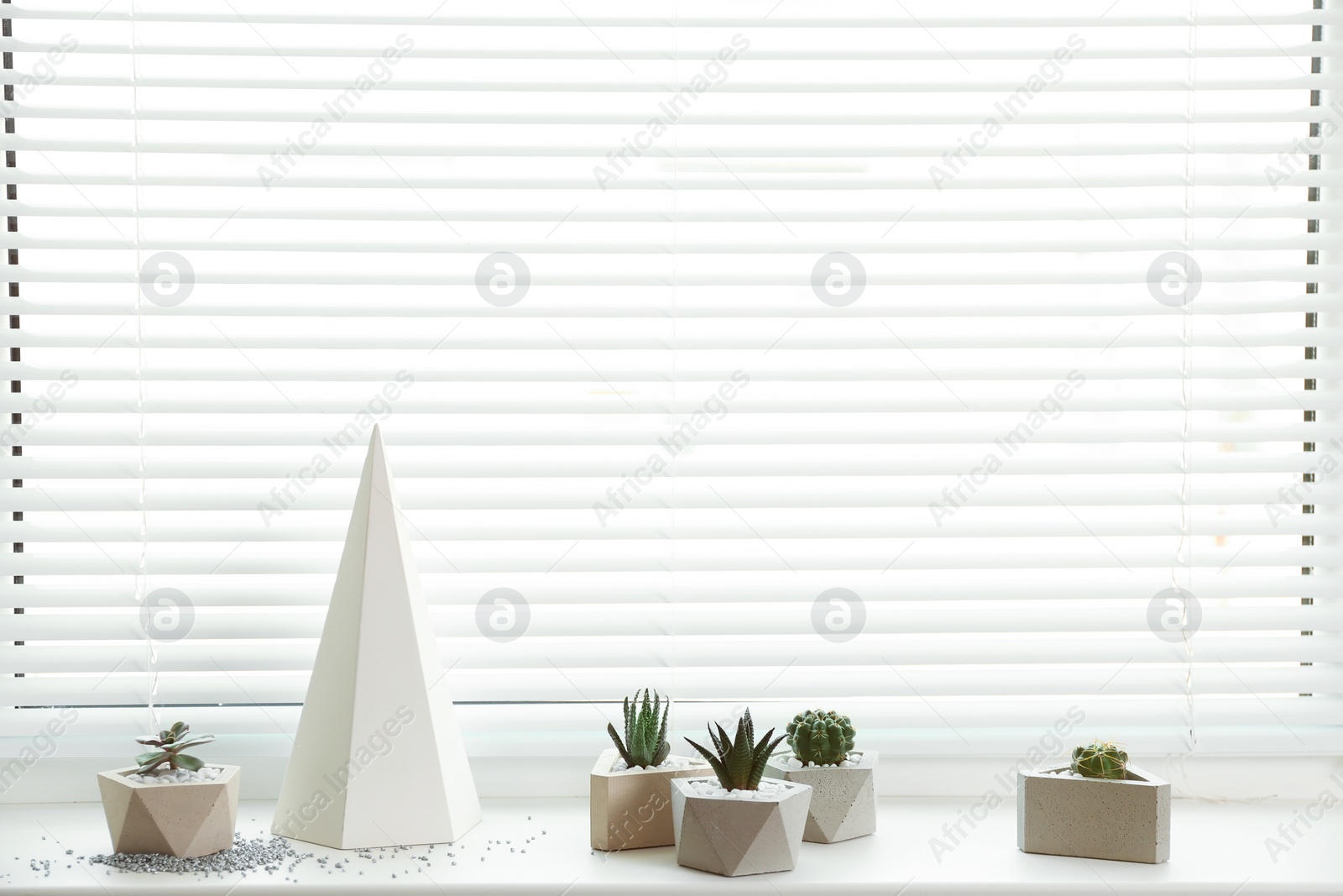 Photo of Window with blinds and potted plants on sill, space for text