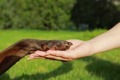 Photo of Dog giving paw to woman in park, closeup