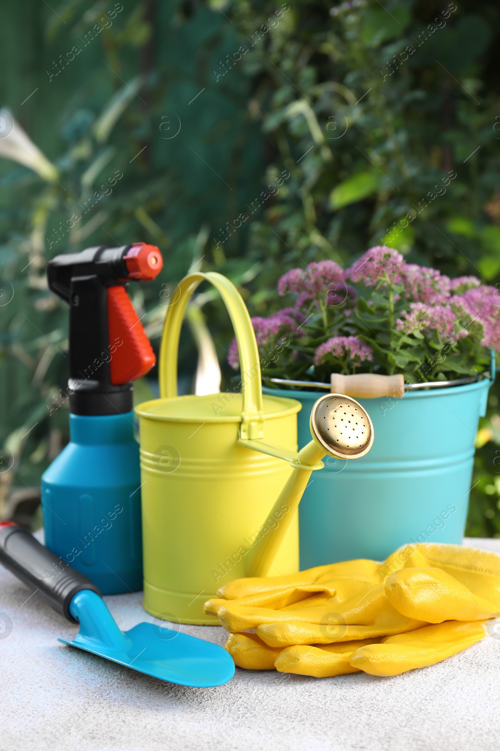 Photo of Watering can, flowers and gardening tools on table outdoors