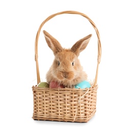 Adorable furry Easter bunny in wicker basket with dyed eggs on white background