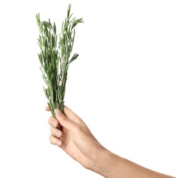 Photo of Woman holding rosemary on white background. Fresh herb