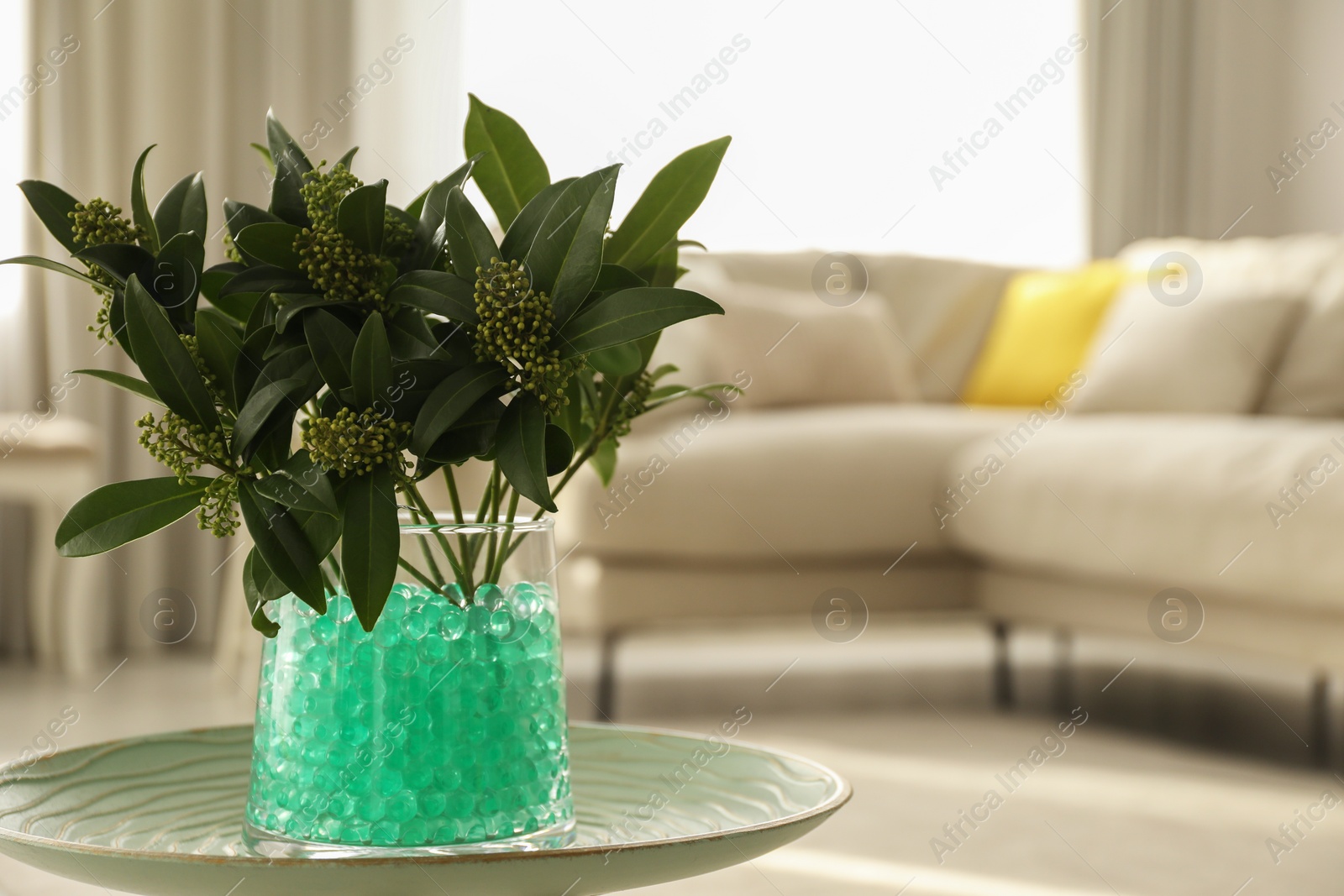 Photo of Mint filler with green branches in glass vase on table at home, space for text. Water beads