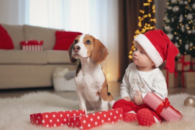 Baby in Santa hat and cute Beagle dog with gifts at home against blurred Christmas lights