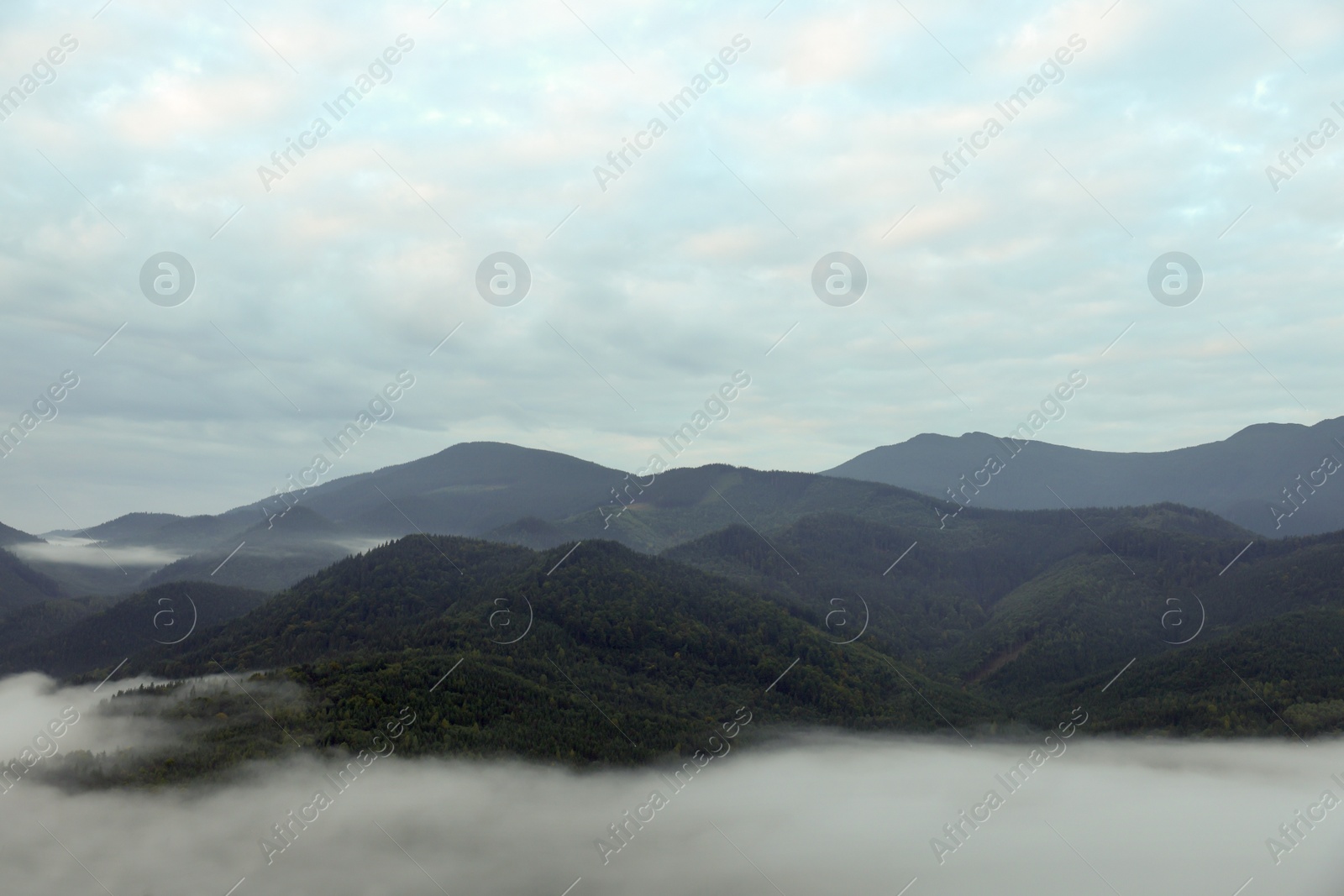 Photo of Picturesque view of mountains covered with fog