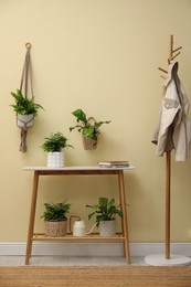 Photo of Different potted ferns, table and clothes rack near beige wall indoors