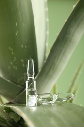 Skincare ampoules on aloe vera against light green background, closeup