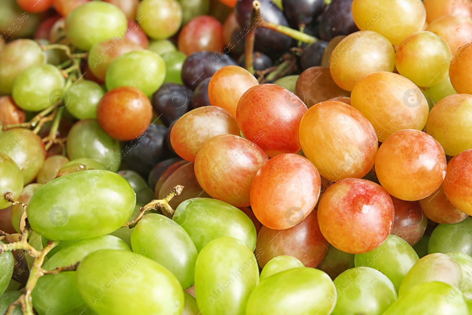 Photo of Fresh ripe juicy grapes as background, closeup