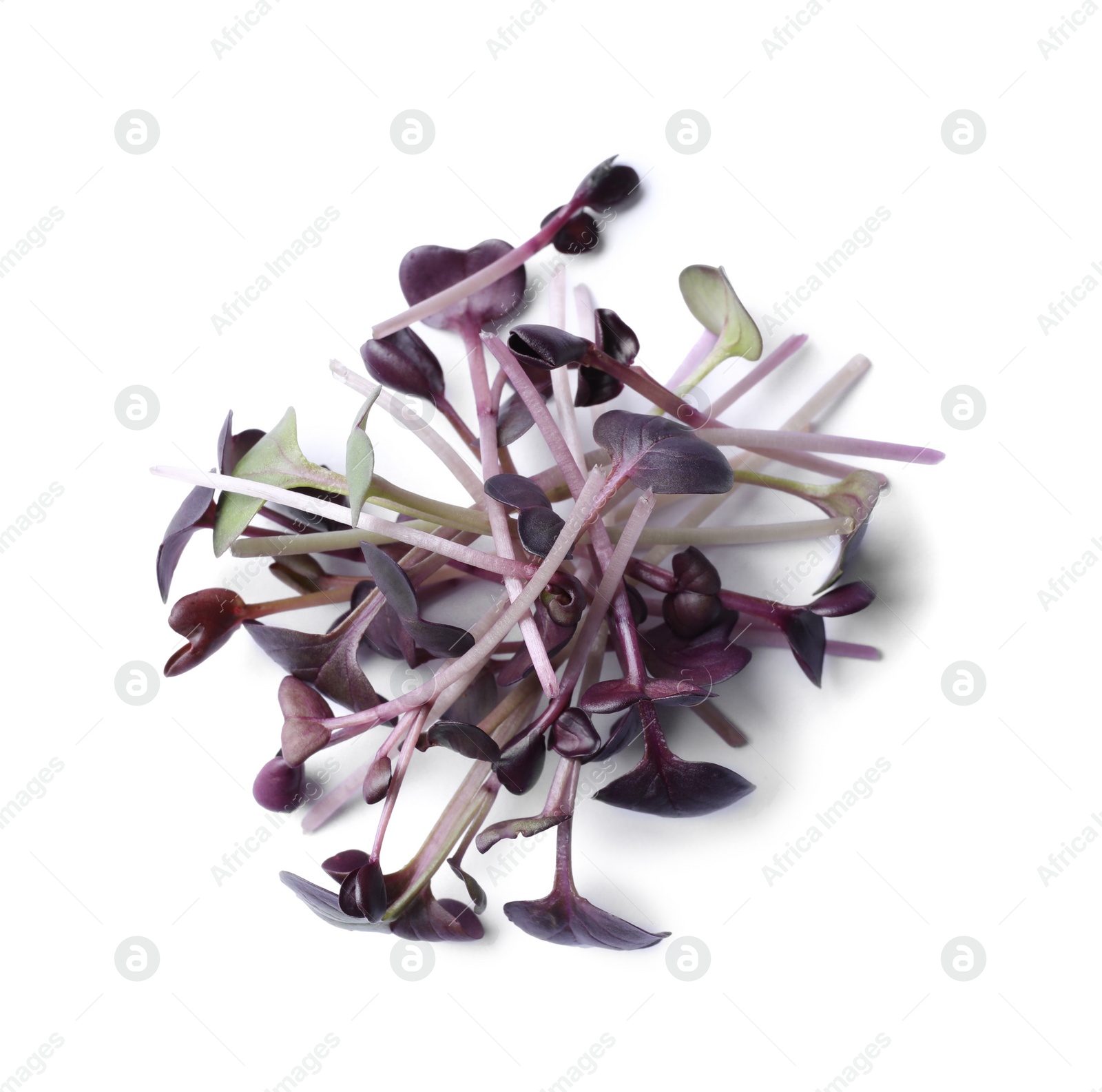 Photo of Pile of fresh microgreen isolated on white, top view