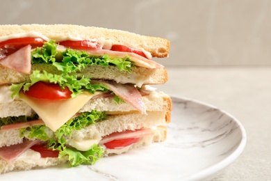 Tasty toast sandwich on plate, closeup. Wheat bread