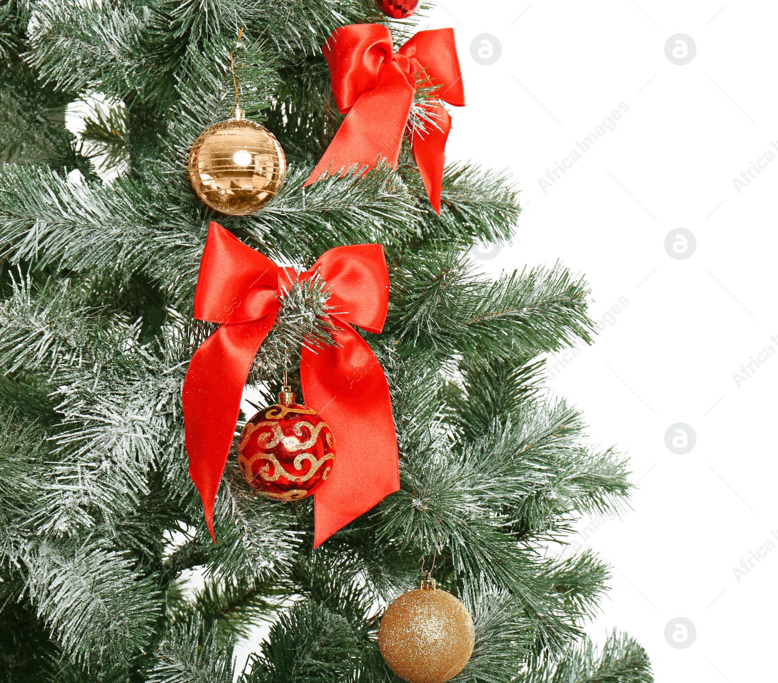 Photo of Beautiful Christmas tree with decor on white background, closeup. Celebration time