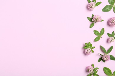 Photo of Beautiful clover flowers on pink background, flat lay. Space for text