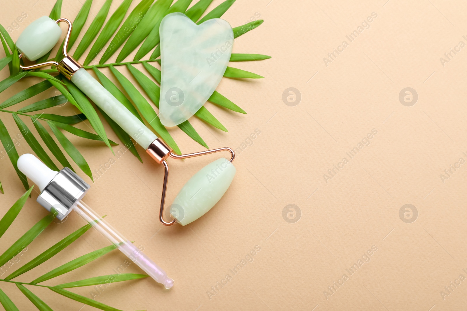 Photo of Gua sha stone, face roller, dropper and green leaves on beige background, flat lay. Space for text