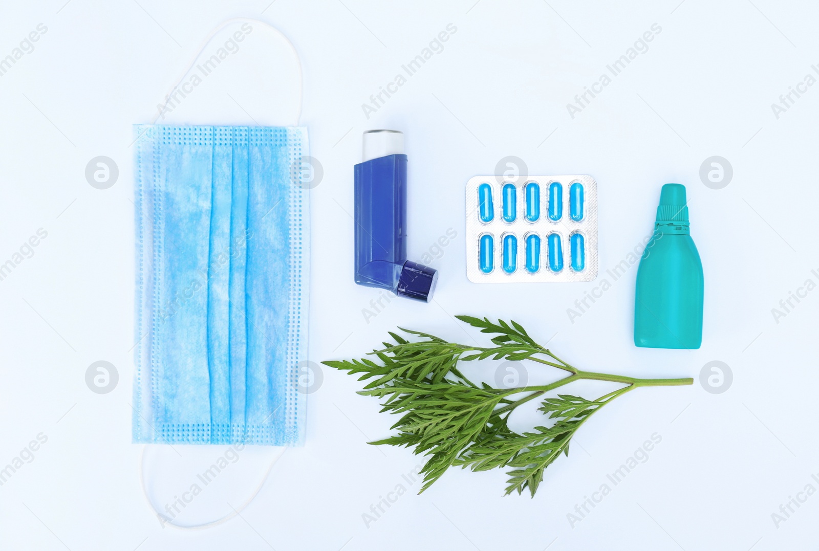 Photo of Ragweed (Ambrosia) and allergy medication on light blue background, flat lay