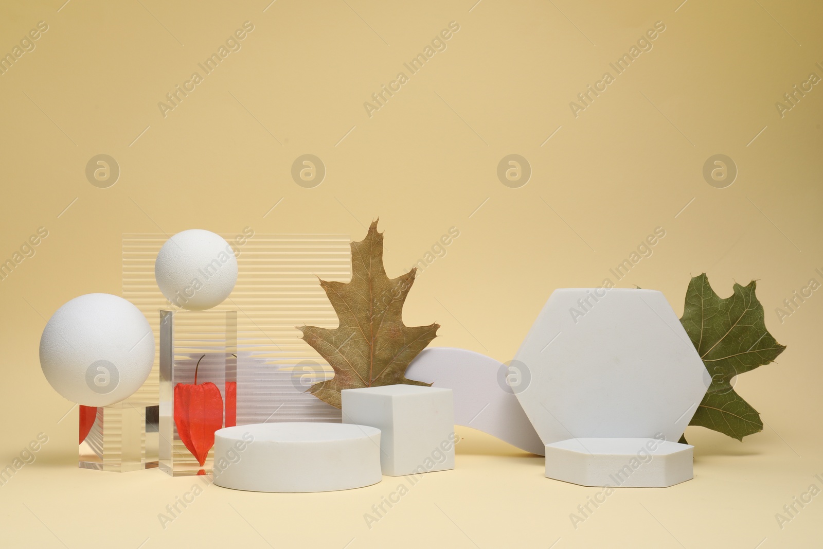 Photo of Autumn presentation for product. Geometric figures, physalis and dry leaves on beige background