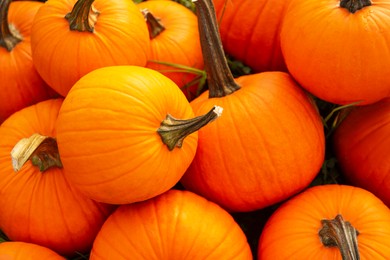 Photo of Many ripe orange pumpkins on grass, top view