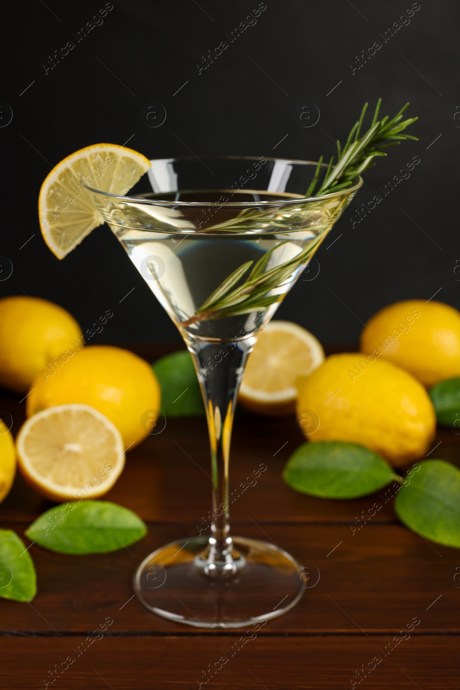 Photo of Martini cocktail with lemon slice, rosemary and fresh fruits on wooden table