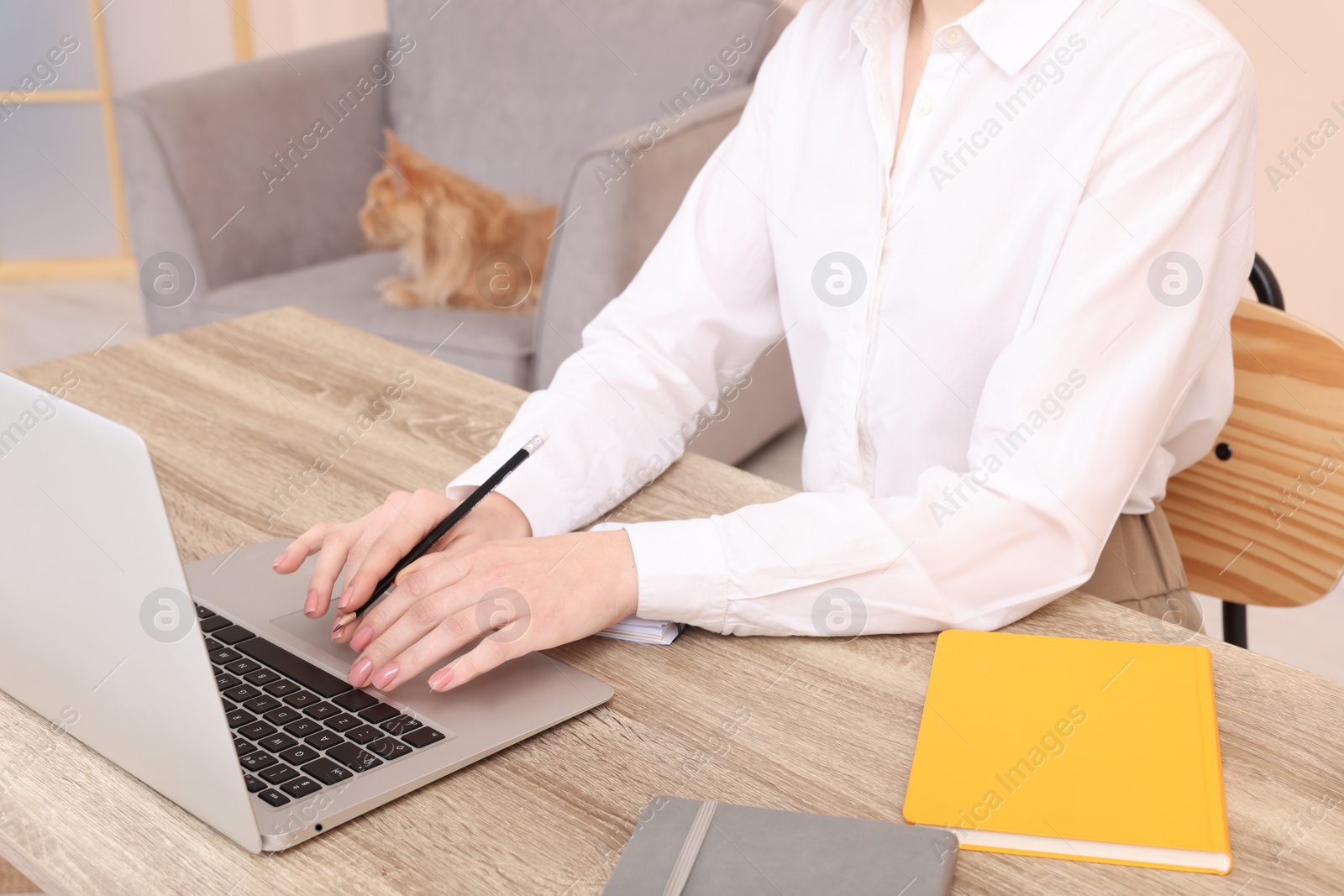 Photo of Woman working at desk, closeup. Home office