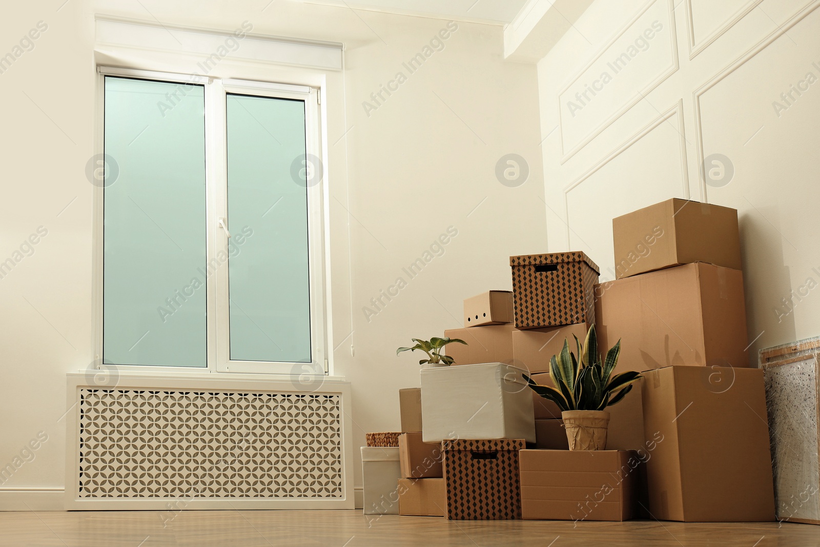 Photo of Cardboard boxes with stuff and houseplants in empty room, space for text. Moving day