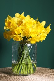 Beautiful daffodils in vase on wicker table against green background