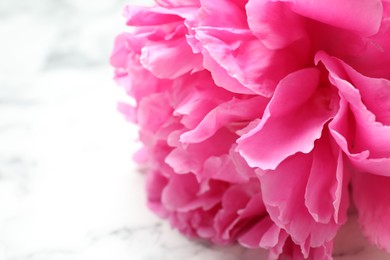 Photo of Beautiful pink peony on white marble background, closeup