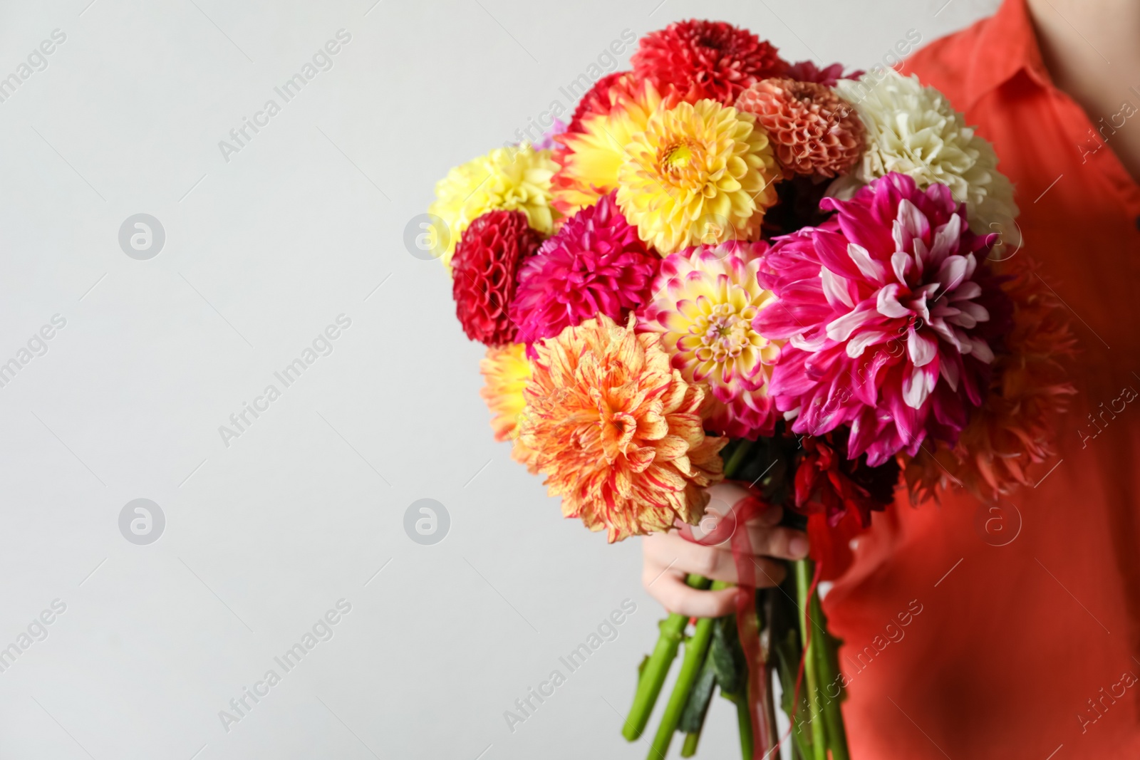 Photo of Woman with bouquet of beautiful dahlia flowers on light background, closeup. Space for text