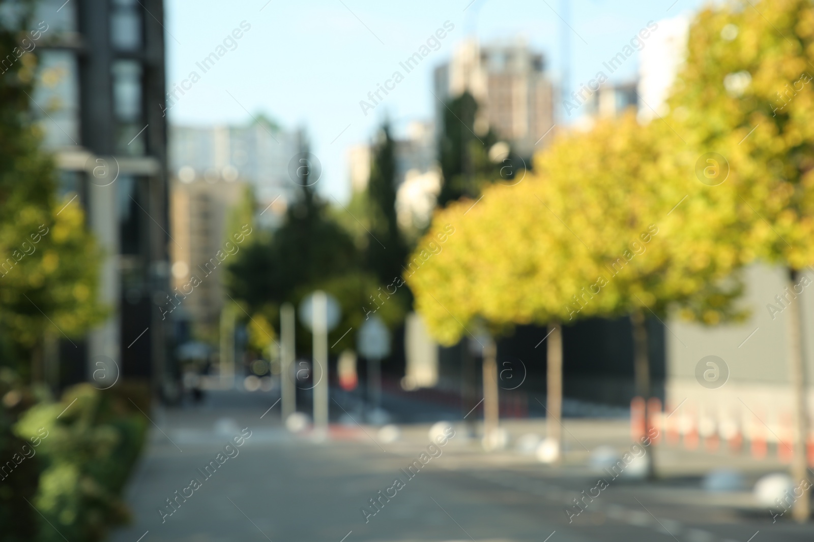 Photo of Blurred view of quiet city street with buildings and beautiful trees