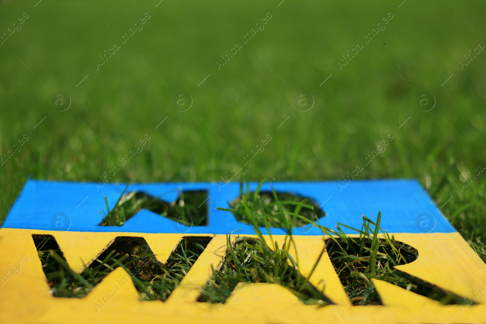 Photo of Poster in colors of Ukrainian flag with words No War on green grass, closeup