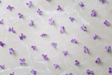 Flat lay composition with beautiful blossoming lilac on light background. Spring flowers