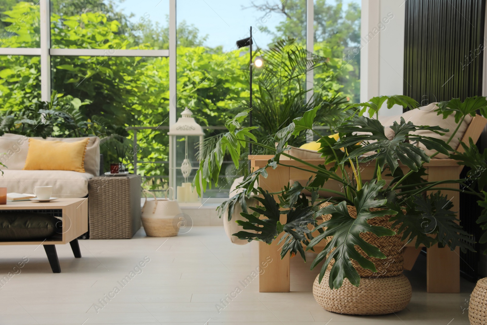 Photo of Indoor terrace interior with modern furniture and houseplants