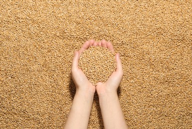 Woman holding wheat over grains, top view